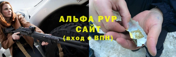 индика Лиски