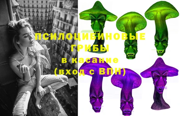 индика Лиски