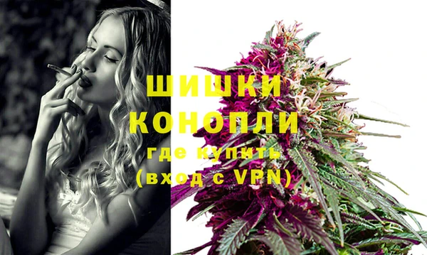 индика Лиски