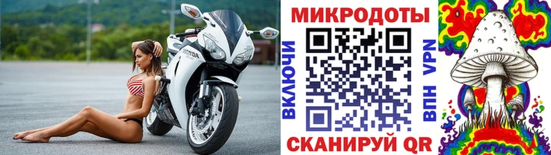 Галлюциногенные грибы ЛСД  Купить где  Зея 